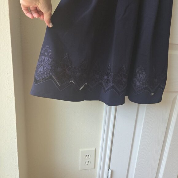 Ted Baker Dress US 6 Cheskka Lace and Mesh Skater Dress NWT $315 - Picture 9 of 15